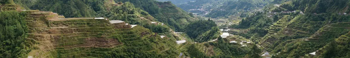 Rice terraces of the Philippines.